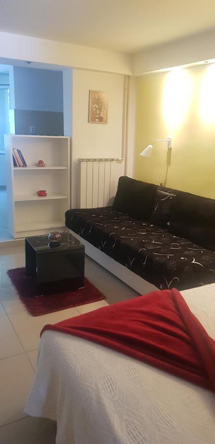 Apartment A&D Pancsova Kültér fotó
