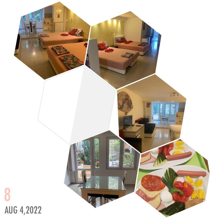 Apartment A&D Pancsova Kültér fotó