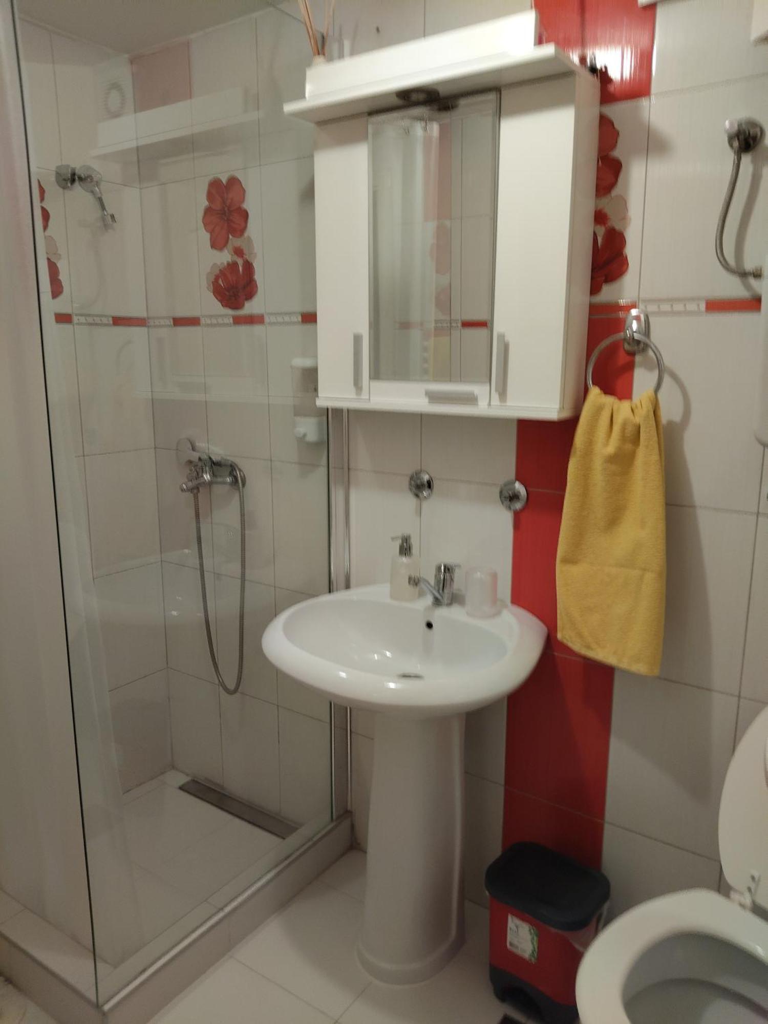 Apartment A&D Pancsova Kültér fotó