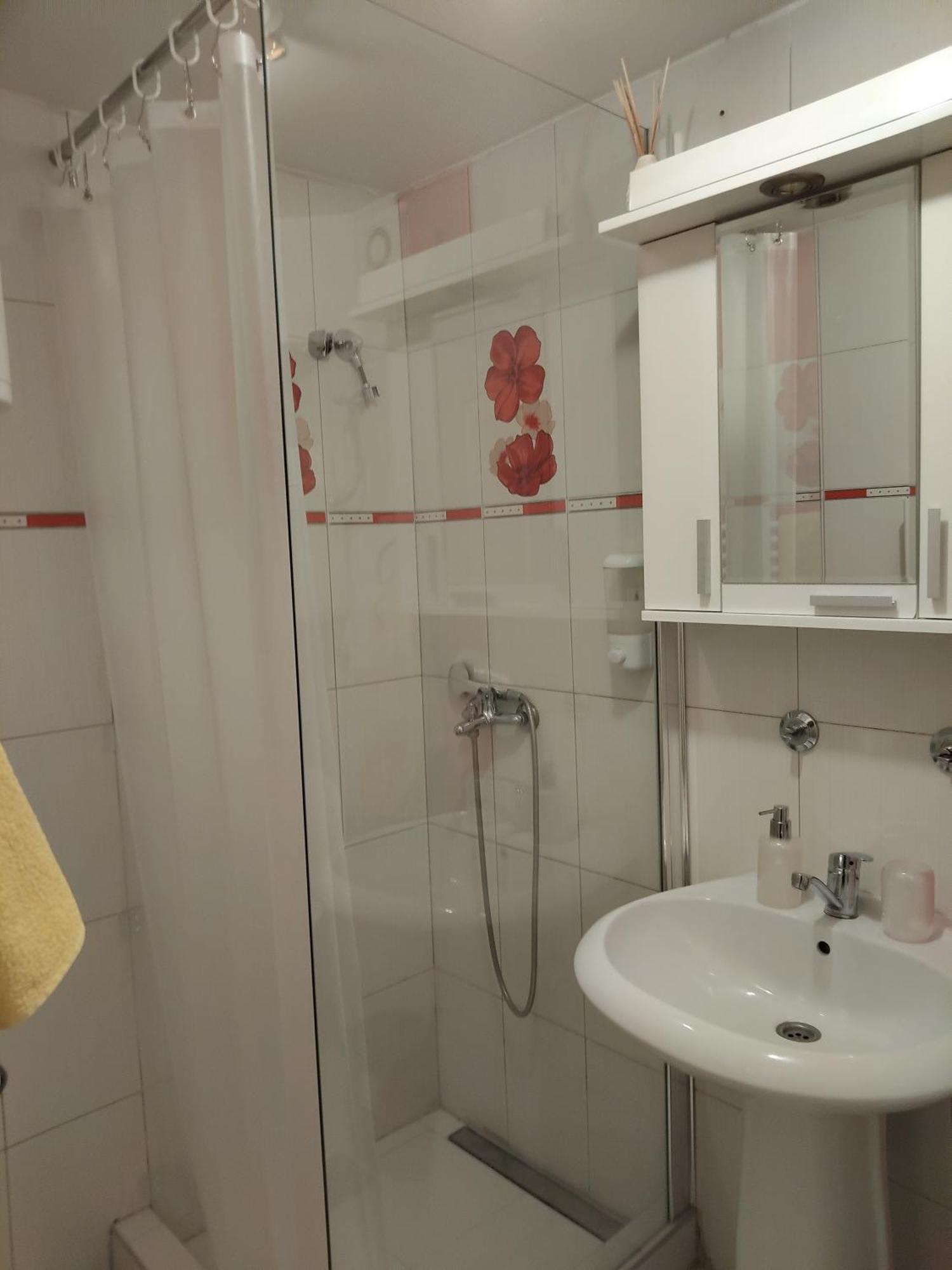 Apartment A&D Pancsova Kültér fotó